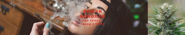 метадон Вяземский