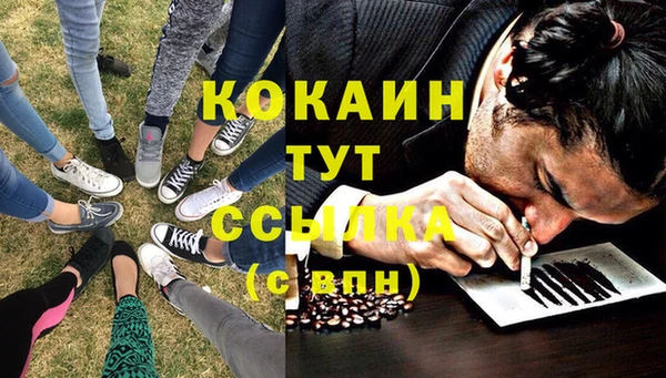мдпв Вязьма