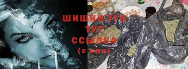 мдпв Вязьма