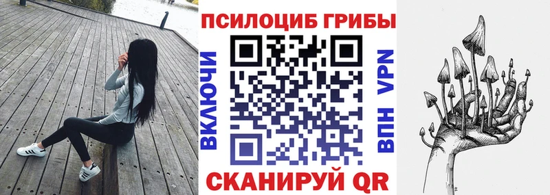 дарнет шоп Кодинск KRAKEN зеркало Галлюциногенные грибы прущие грибы